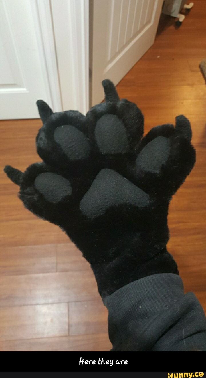 they - Here they are