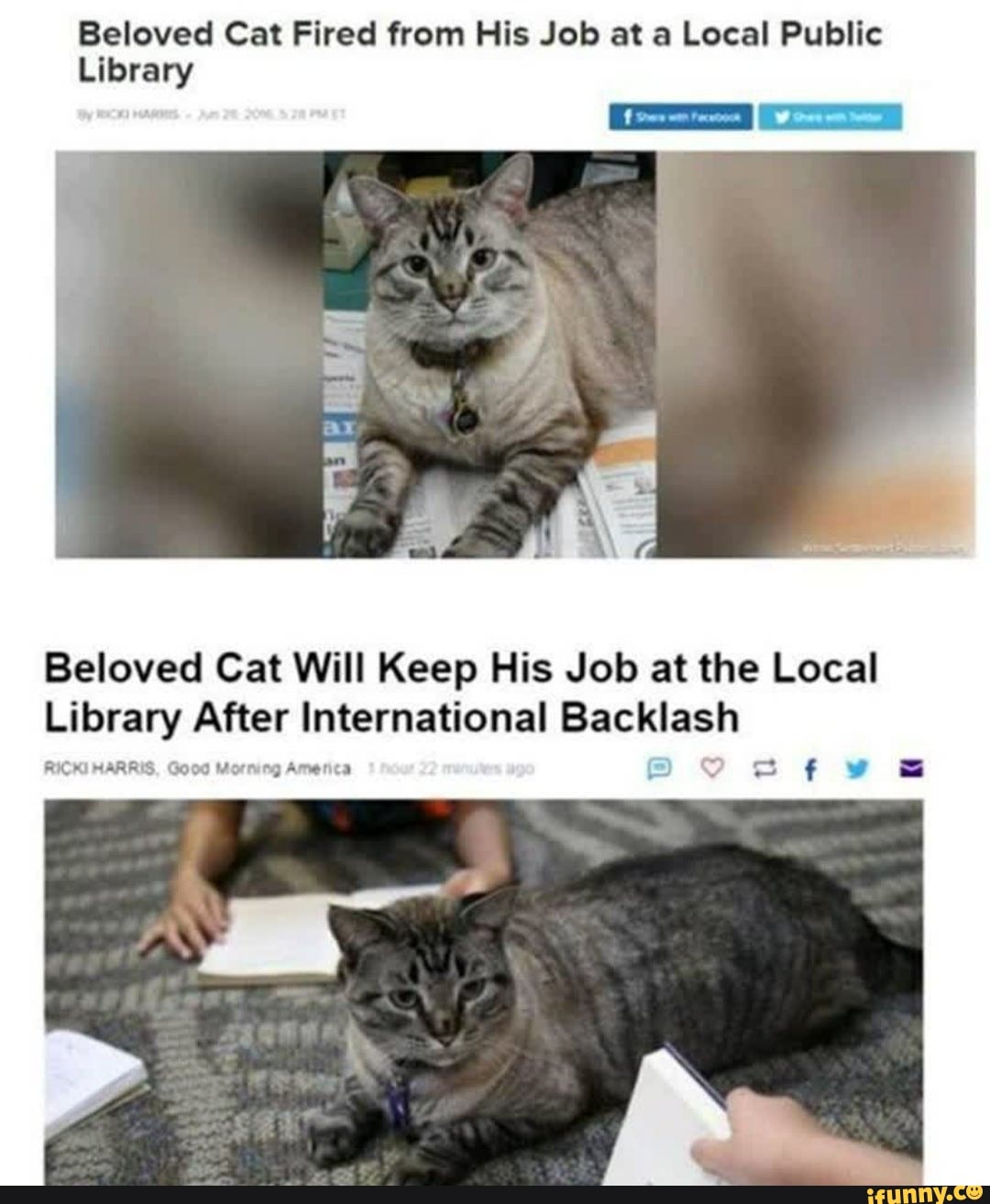 Beloved Cat Fired from His Job at a Local Public
Library
Beloved Cat Will Keep His Job at the Local
Library After International Backlash