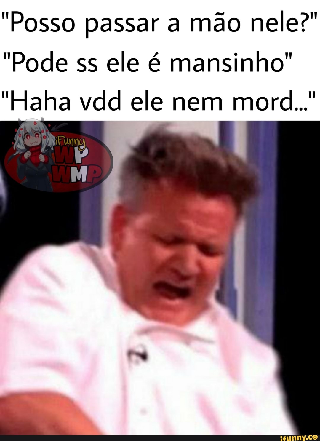 "Posso passar a mão nele?"
"Pode ss
ele é mansinho"
"Haha vdd ele nem