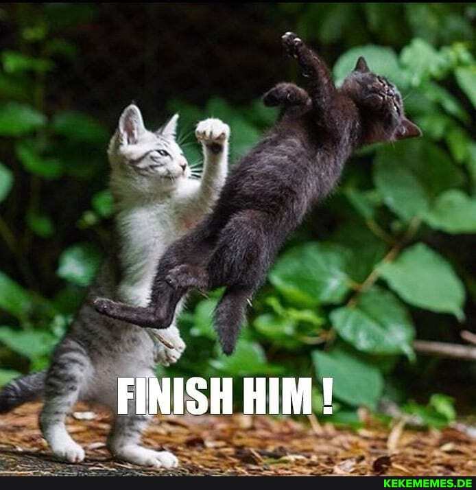 FINISH HIM!