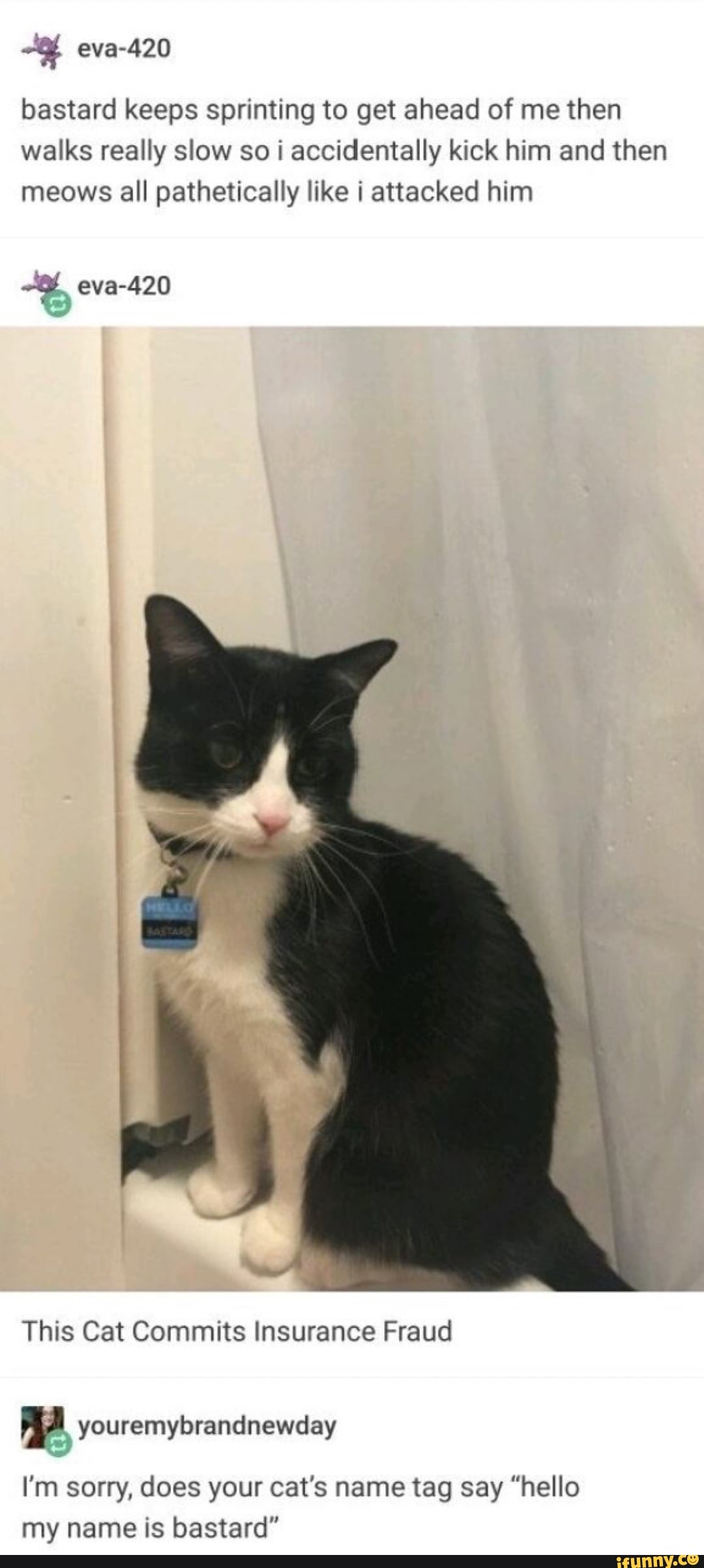 bastard keeps sprinting to get ahead of me then walks really slow so accidentally kick him and then meows all pathetically like attacked him
eva-420
This Cat Commits Insurance Fraud
I'm sorry, does your cat's name tag say "hello my name is bastard"