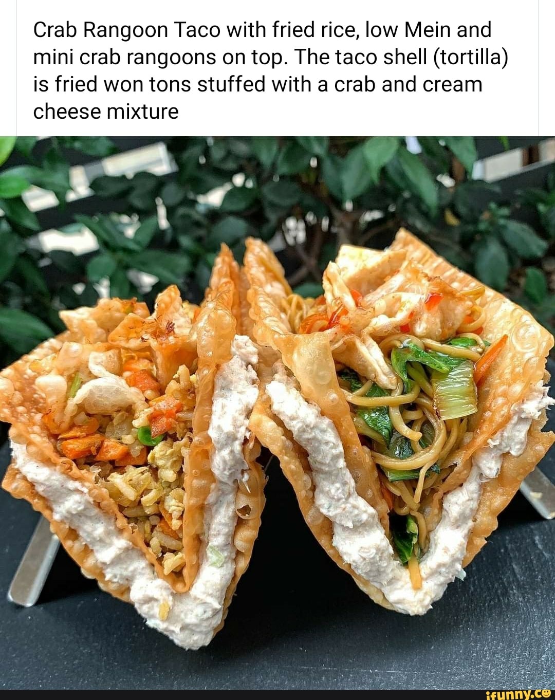 Crab Rangoon Taco with fried rice, low Mein and mini crab rangoons on