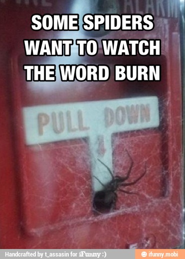 we
SOMEISPIDERS I
WANTATO!WATCH"
THEIWORD BURN