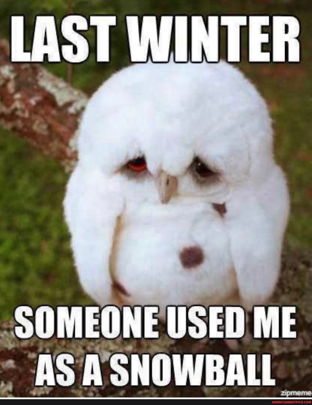 LAST WINTER
SOMEONE USED ME ASASNOWBALL