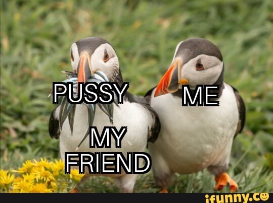 PUSSY
ff
MY FRIEN
ME