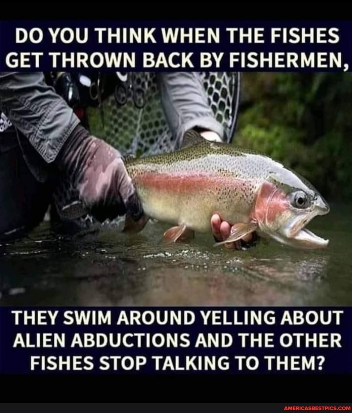DO YOU THINK WHEN THE FISHES GET THROWN BACK BY FISHERMEN,
THEY SWIM AROUND YELLING ABOUT ALIEN ABDUCTIONS AND THE OTHER FISHES STOP TALKING TO THEM?