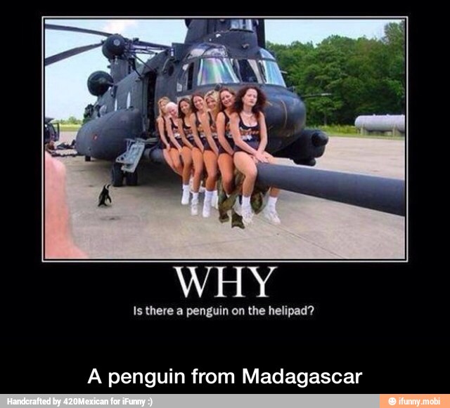 Is there a penguin on the helipad?
A penguin from Madagascar - A penguin from Madagascar
