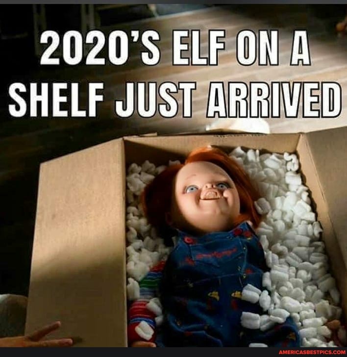ELF ON A SHELF JUST ARRIVED