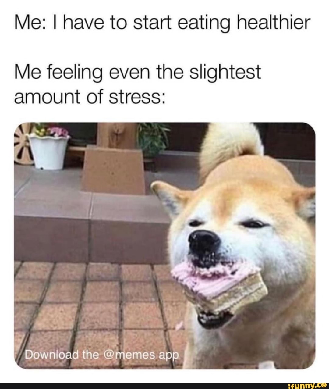 Me: I have to start eating healthier
Me feeling even the slightest amount of stress:
ry
Download the @memes app