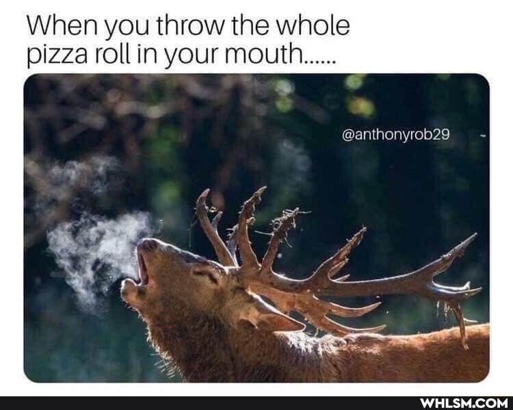 When you throw the whole pizza roll in your mouth
@anthonyrob29