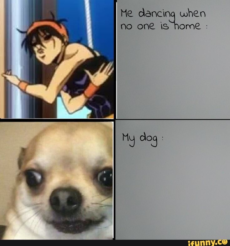 XDD