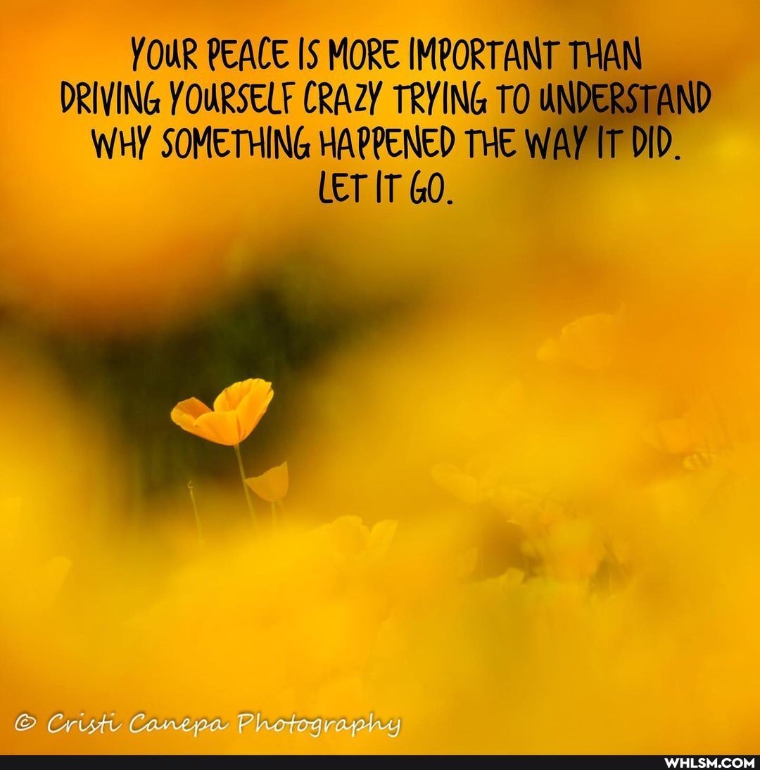 YOUR PEACE IS MORE IMPORTANT THAN DRIVING WHY YOURSELF CRAZY SOMETHING TRYING HAPPENED TO THE UNDERSTAND WHY SOMETHING HAPPENED THE WAY DI
LET IT GO.
Canepa Photography