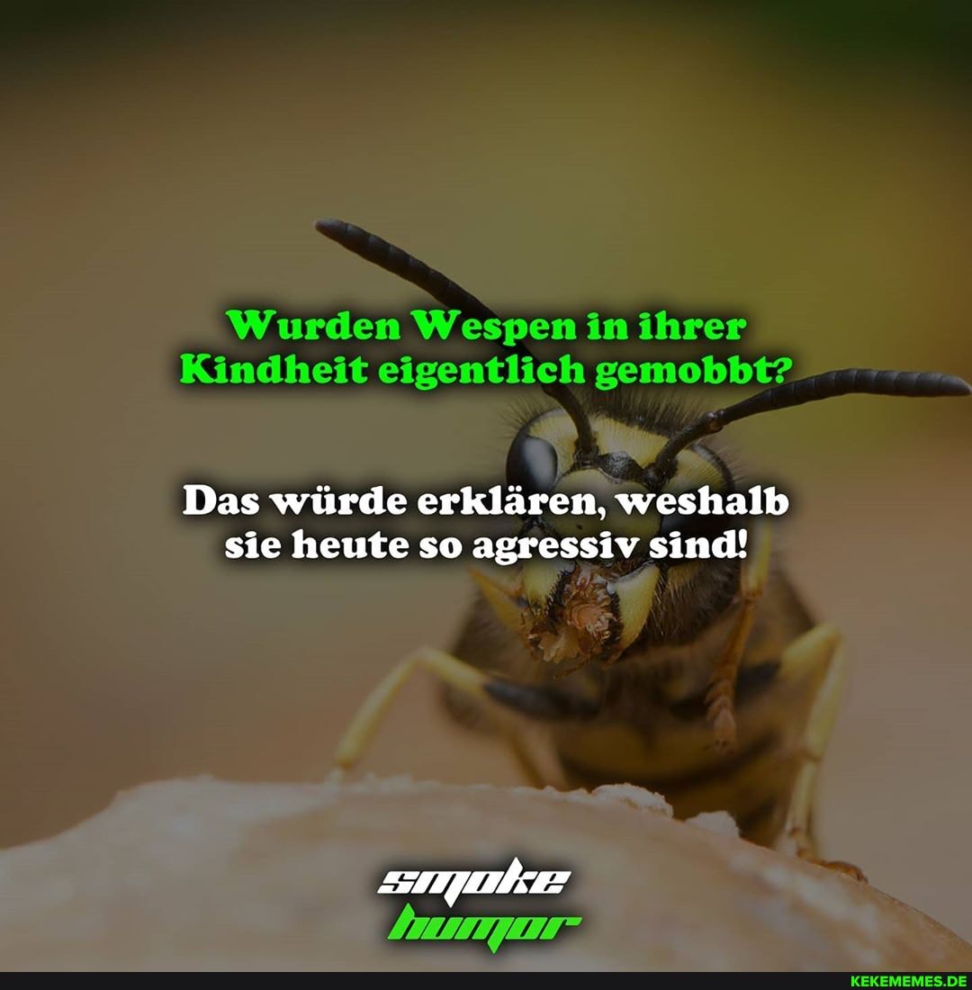 Wurden Wespen in ihrer
Kindheit eigentlich gemobbt?
Das würde erklären, weshalb sie heute so agressiv sind!