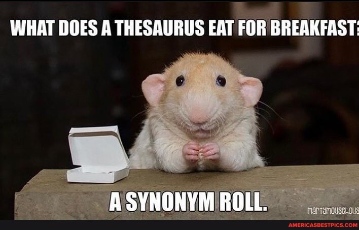 WHAT DOES A THESAURUS EAT FOR BREAKFAST:
ASYNONVYM ROIL