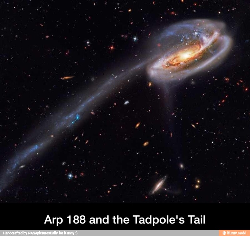 Arp 188 and the Tadpole's Tail - Arp 188 and the Tadpole's Tail