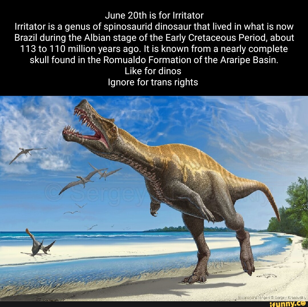 Spinosaurid memes. Best Collection of funny Spinosaurid pictures on iFunny