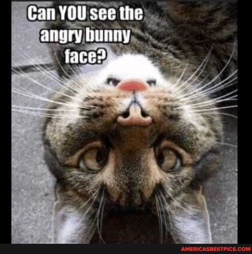 Can YOU see the ayry Dunny