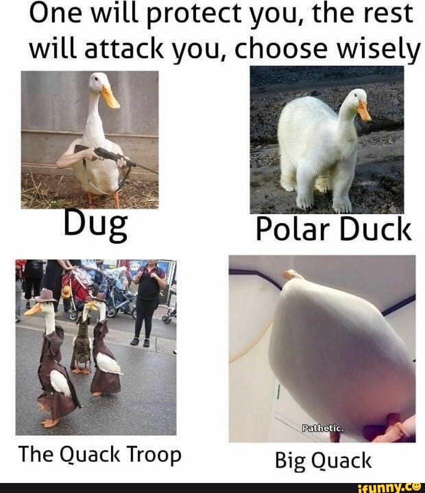One will protect you, the rest will attack you, choose wisely
The Quack Troop Big Quack.