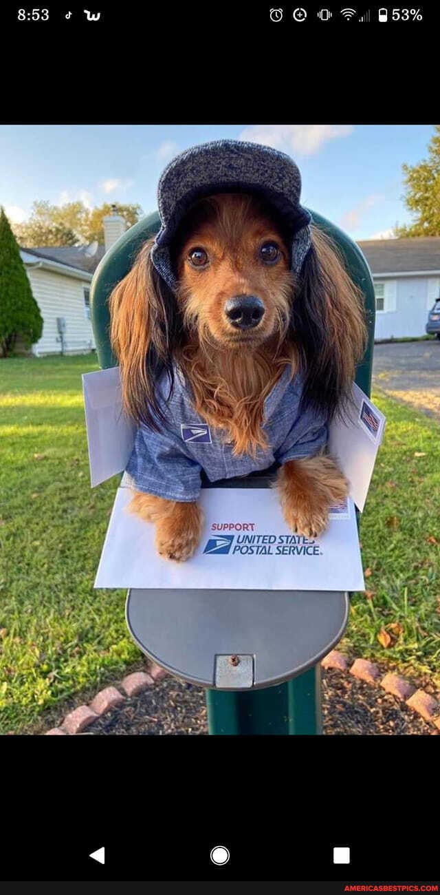suPPORT UNITED STATES Bad Postal SERVICE