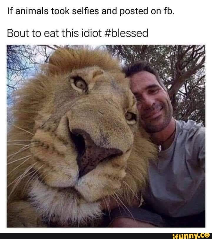 If animals took selfies and posted on fb.
Bout to eat this idiot #blessed