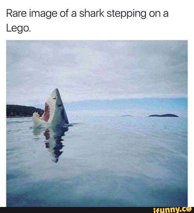 Rare image of shark stepping on a Lego. - iFunny