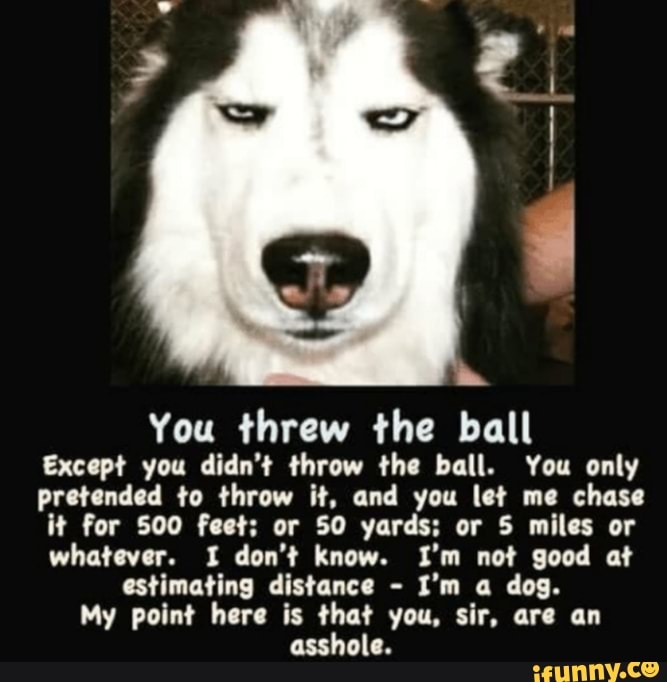 SP You threw the ball Except you didn't throw the ball. You only