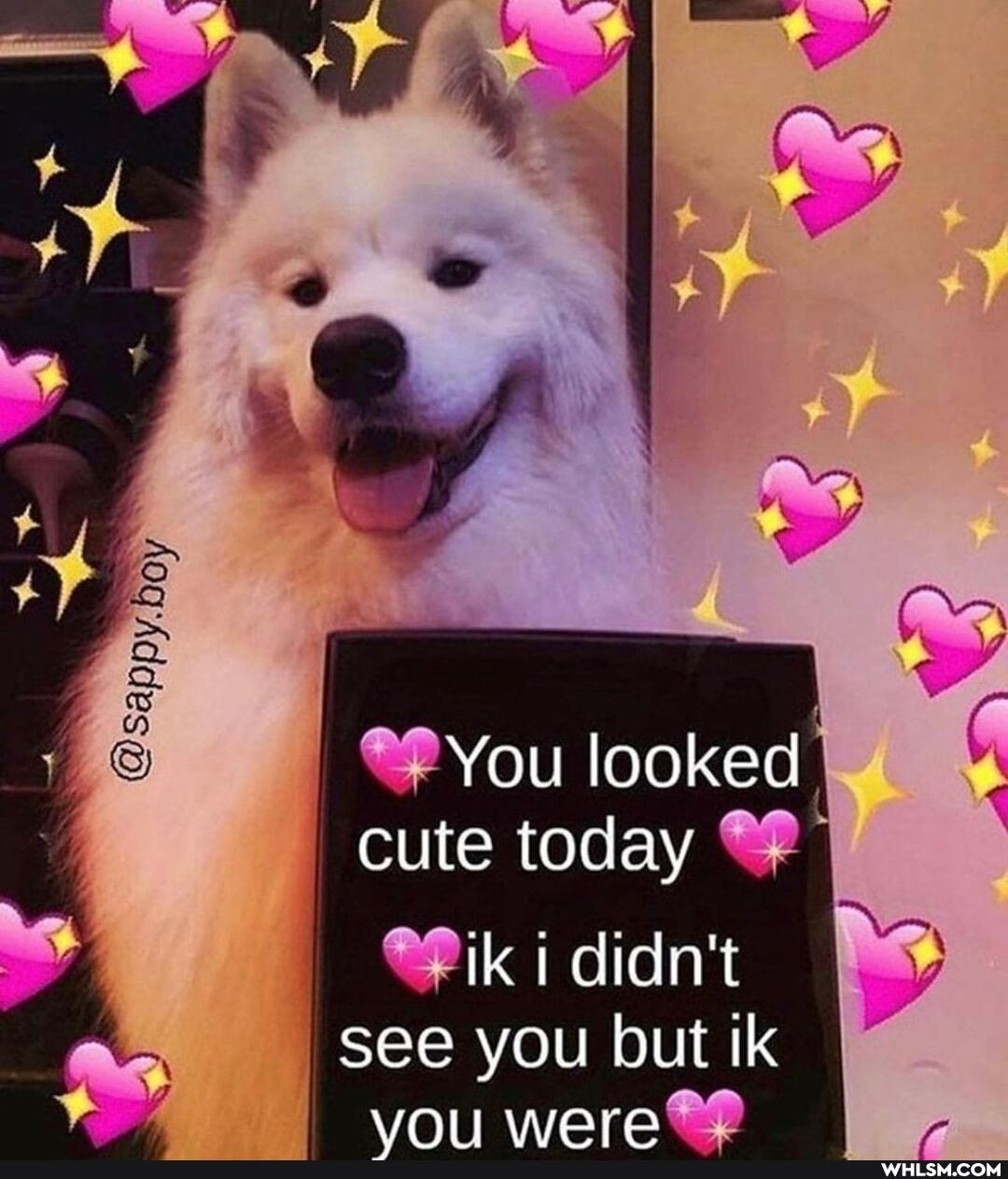 You looked I
@sappy, boy
cute today Ge
i didn't see you but ik were