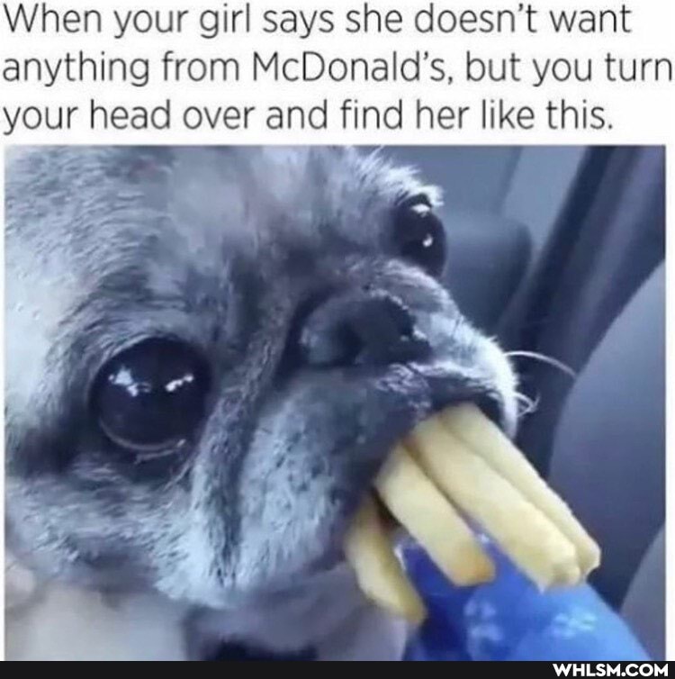 When your girl says she doesn't want anything from McDonald's, but you turn your head over and find her like this.