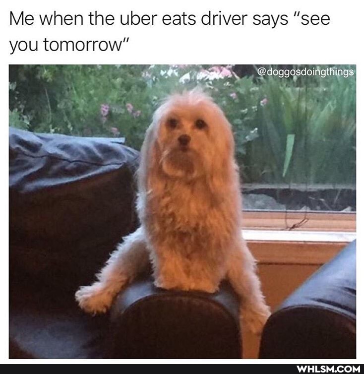 Me when the uber eats driver says "see you tomorrow"