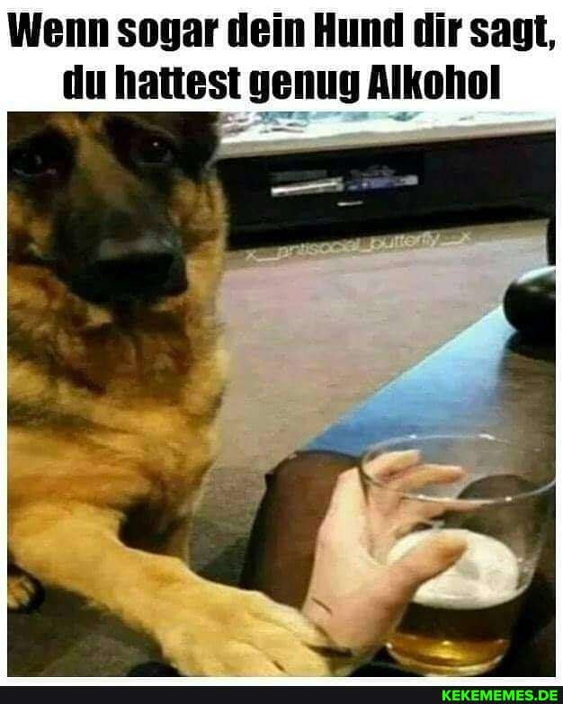 Wenn sogar dein Hund dir sagt, du hattest genug Alkohol