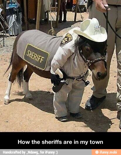 How the sheriffs are in my town - How the sheriffs are in my town