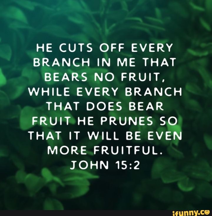 HE CUTS OFF EVERY BRANCH IN ME THAT BEARS NO FRUIT, WHILE EVERY BRANCH ...