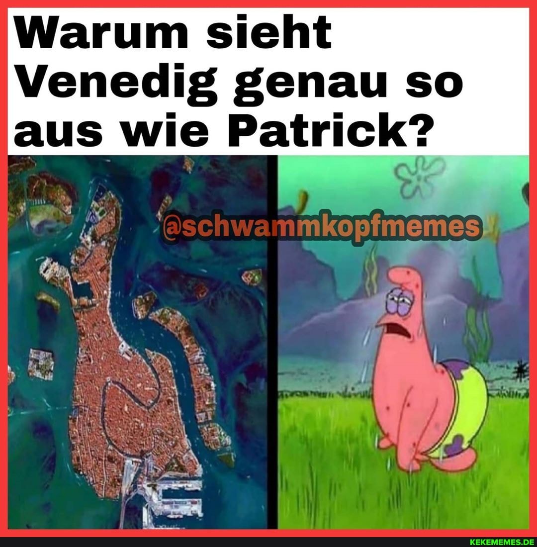 Warum sieht
Venedig genau so aus wie Patrick?