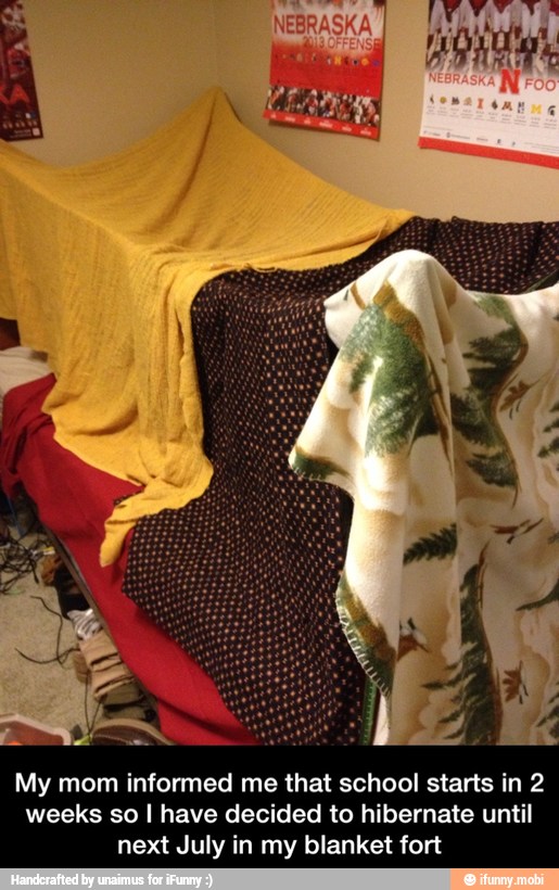 My mom informed me that school starts in 2
weeks so I have decided to hibernate until
next July in my blanket fort - My mom informed me that school starts in 2 weeks so I have decided to hibernate until next July in my blanket fort
