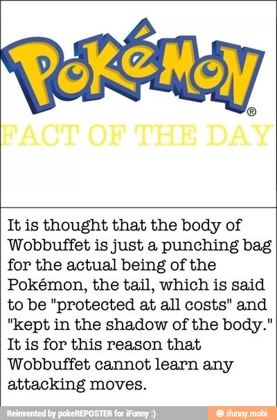 It is thought that the body of
Wobbuffet is just a punching bag
for the actual being of the
Pokémon, the tail, which is said
to be "protected at all costs" and
"kept in the shadow of the body."
It is for this reason that
Wobbuffet cannot learn any
attacking moves.