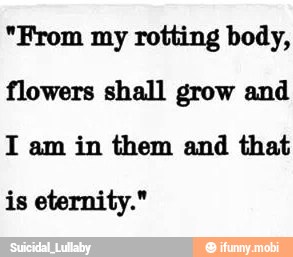 "From my rotting body,
flowers shall grow and
I am in them and that
is eternity."