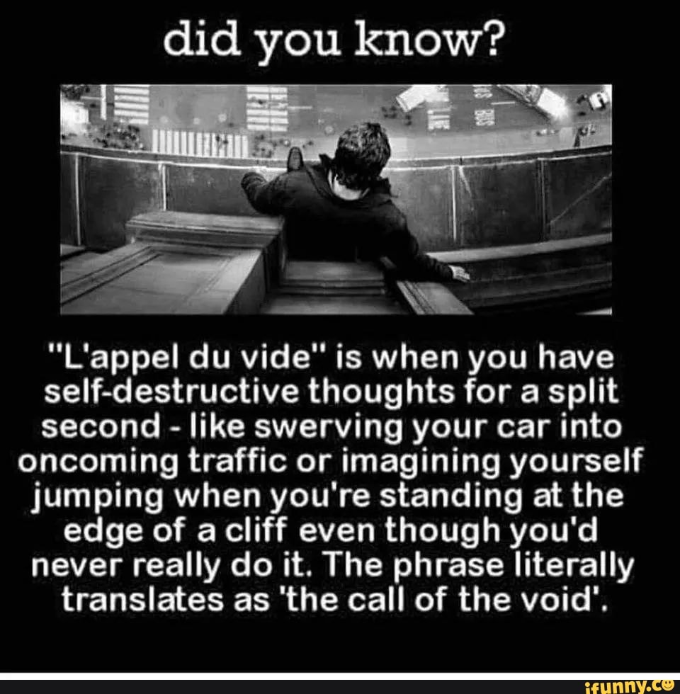 "L'appel du vide" is when you have
self-destructive thoughts for a split
second like swerving your car into
oncoming traffic or imagining yourself
jumping when you're standing at the
edge of acliff even though you'd
never really do it. The phrase literally
translates as 'the call of the void'.
