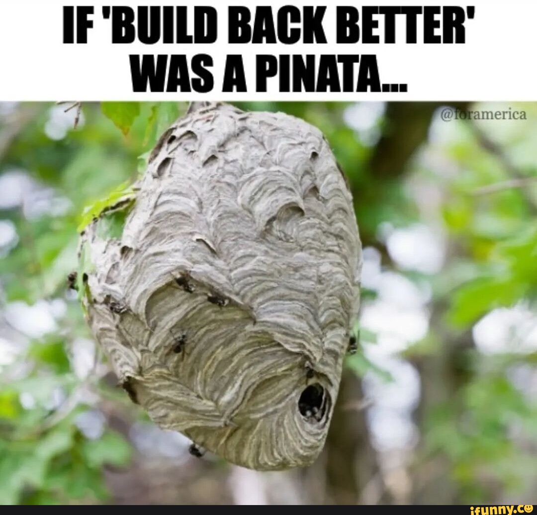Pinata memes. Best Collection of funny Pinata pictures on iFunny