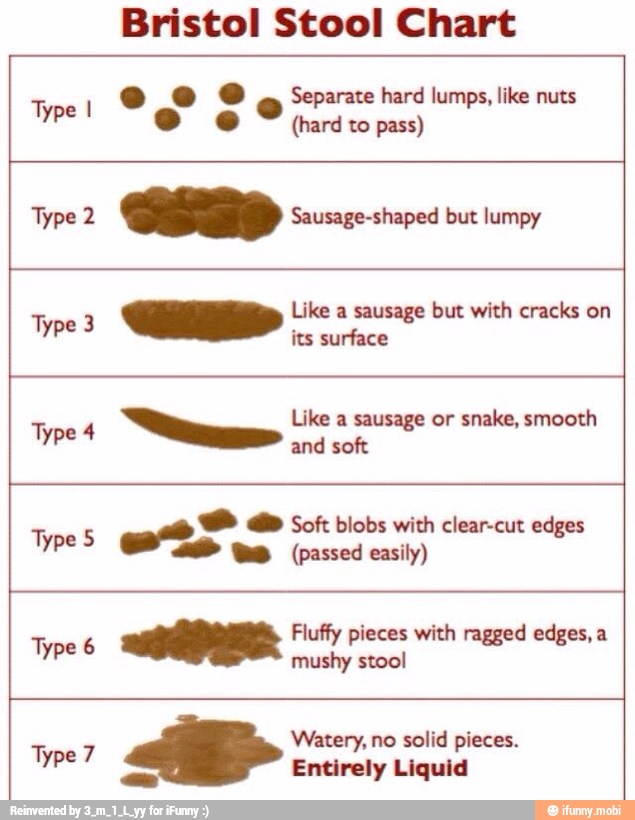 Bristol Stool Chart eo Separate hard lumps, like nuts (hard to pass) Uh ...