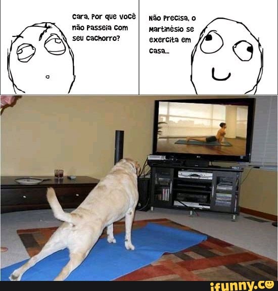 Cara, Por que você I não precisa, o não Passeia com Martinésio se
seu cachorro? exercita em
GG casa.