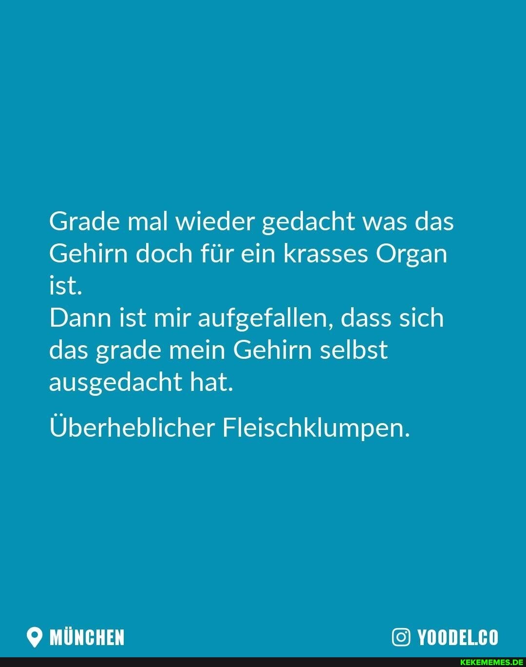 Grade mal wieder gedacht was das
Gehirn doch für ein krasses Organ ist.
Dann ist mir aufgefallen, dass sich das grade mein Gehirn selbst ausgedacht hat.
Überheblicher Fleischklumpen.
MÜNCHEN YOODEL.CO