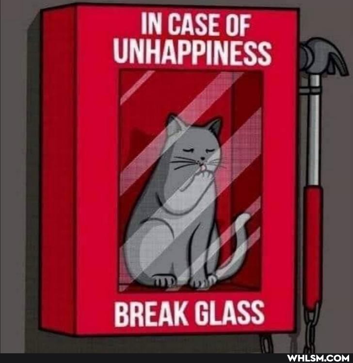 IN CASE OF UNHAPPINESS
BREAK GLASS