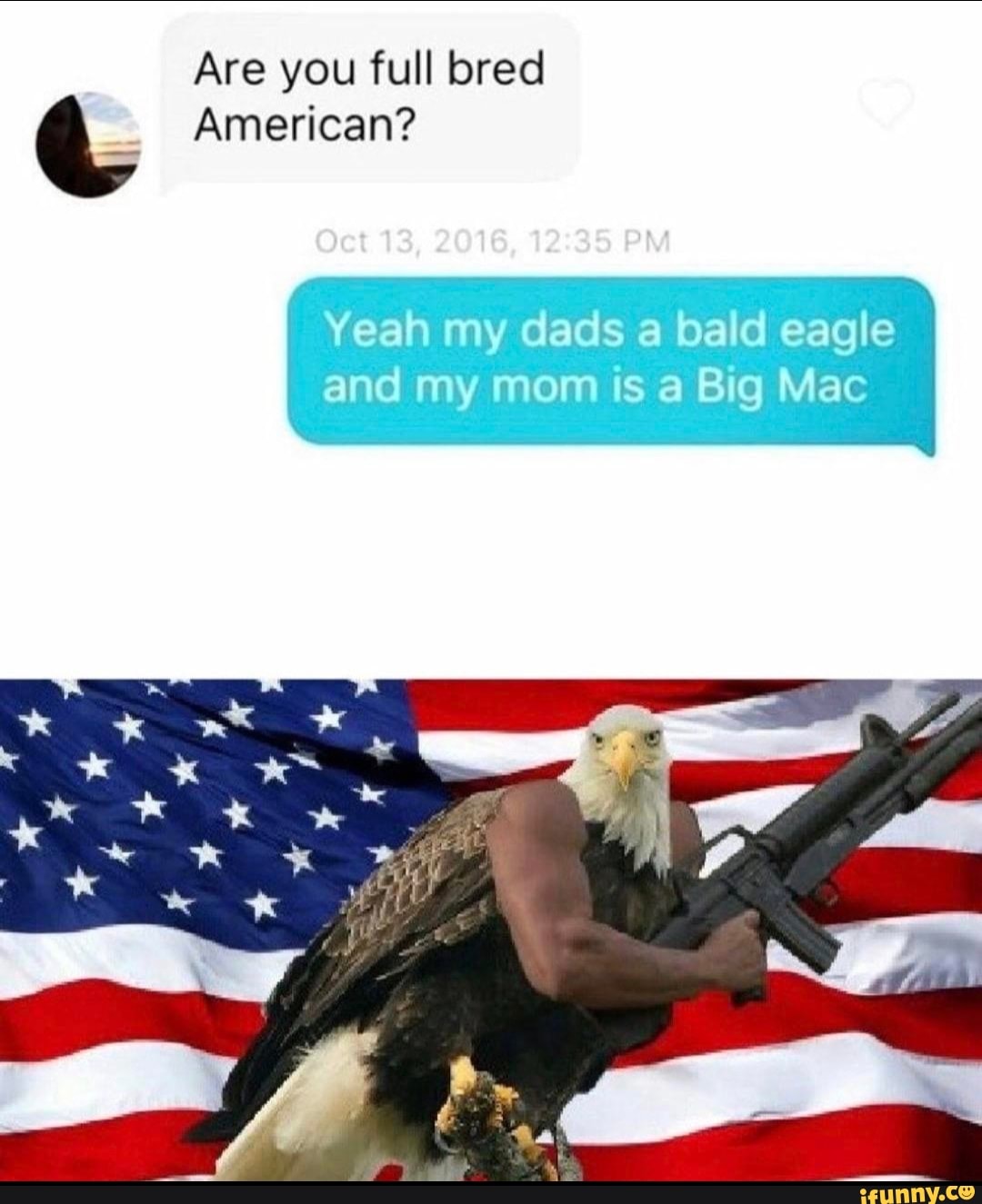 Are you full bred
Q American?