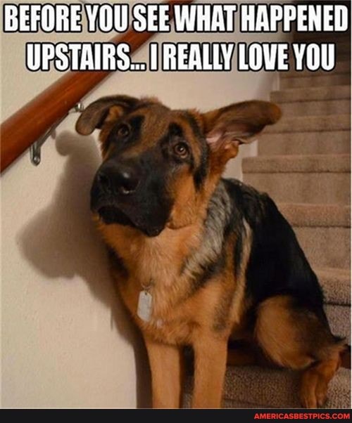 BEFORE YOU SEE WHAT HAPPENED UPSTAIRS... REALLY LOVE YOU