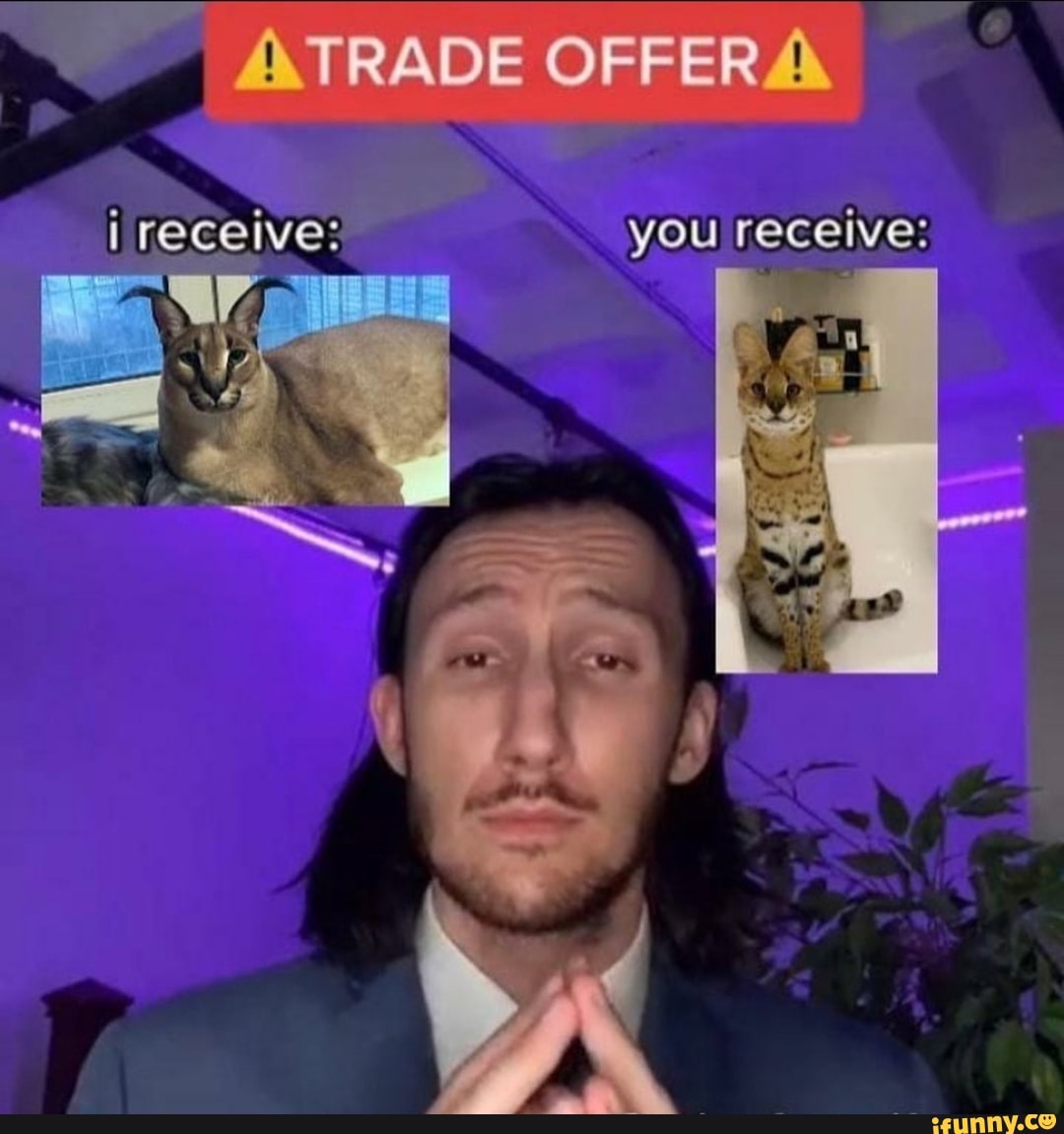 i receive?
OFFER
you receive: