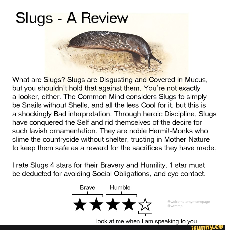 Slugs A Review What are Slugs? Slugs are Disgusting and Covered in ...