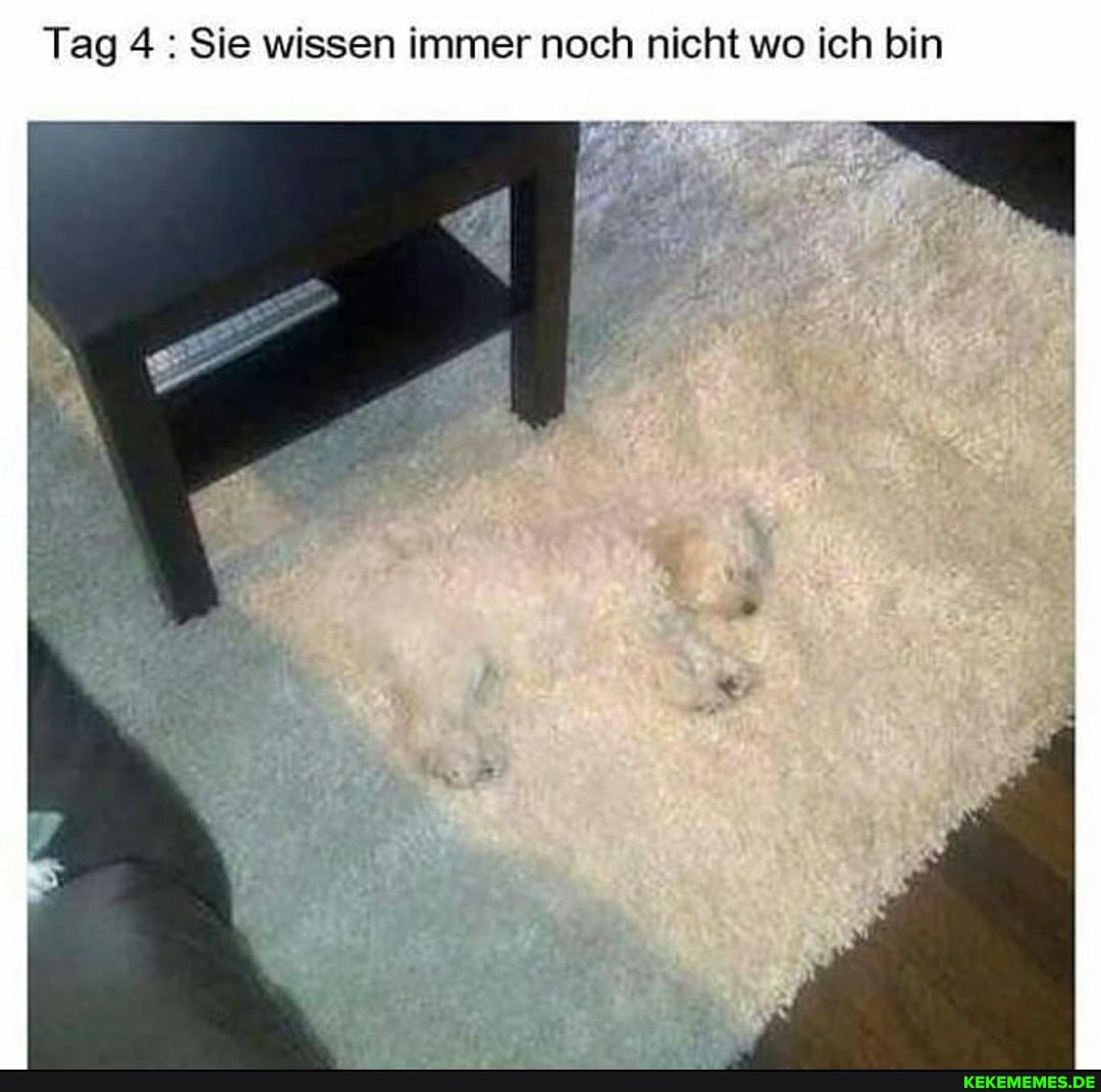 Tag 4 : Sie wissen immer noch nicht wo ich bin