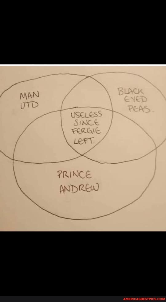 useuess
SINE E
PRINCE