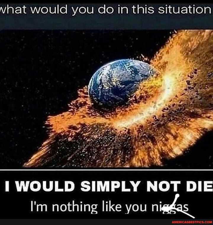 vhat would you do in this situation
WOULD SIMPLY NOT DIE I'm nothing like you