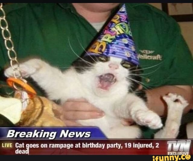 "Breaking News
A
LIVE cat gees on rampage at birthday party, 19 injured, 2
rome